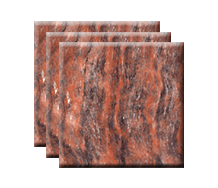 =Summit Seine Times SW288017